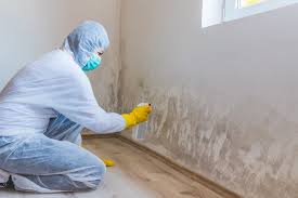 Best Mold Prevention Services  in Lynchburg, OH