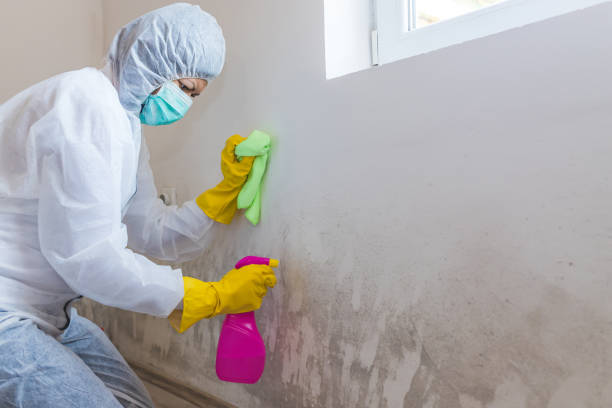 Best Mold Prevention Services  in Lynchburg, OH