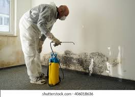 Best Environmental Consulting for Mold Prevention  in Lynchburg, OH